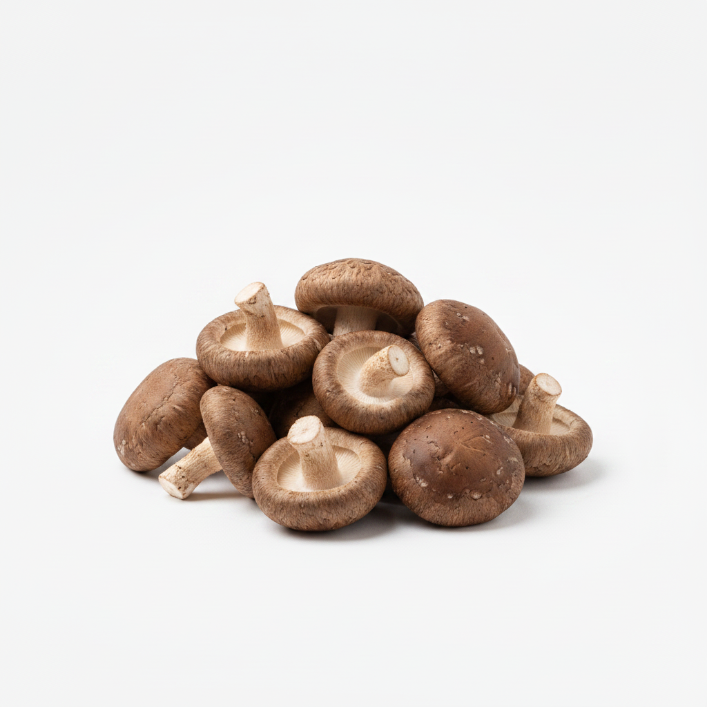 Shiitake Mushroom
